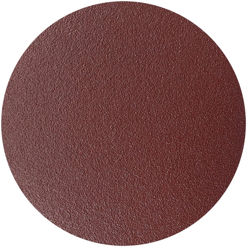DISC ABRAZIV CU ARICI 125MM GR40